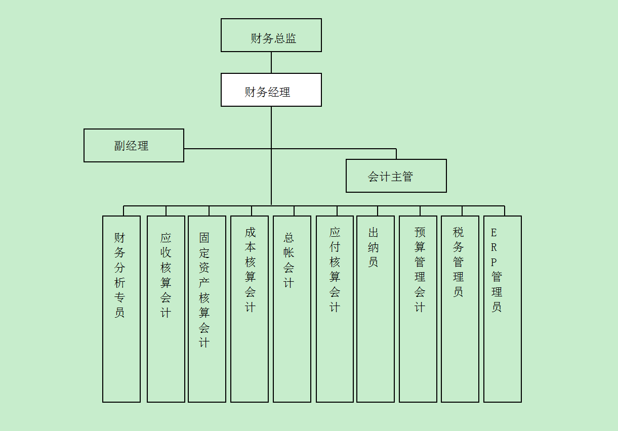 公司的財(cái)務(wù)部組織結(jié)構(gòu)圖