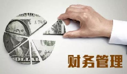 XXX紙業(yè)有限公司財務(wù)管理制度