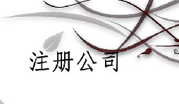 注冊(cè)公司為什么推薦找代理注冊(cè)公司的機(jī)構(gòu)呢？